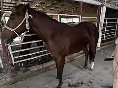 free video gallery horsing-around-roughly-wasting-away-young-generalized